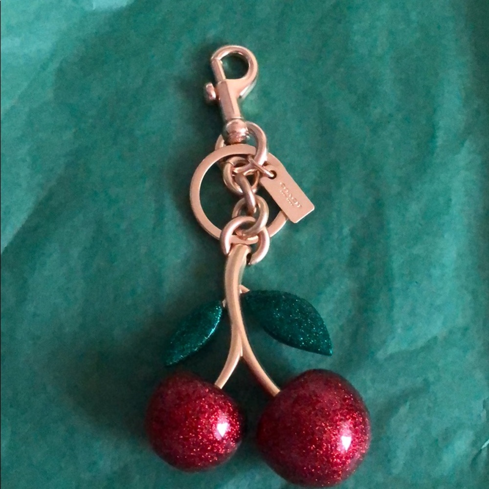 Coach keychain